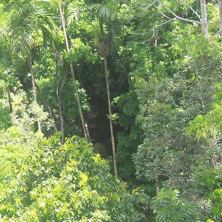 L'Javas Villas Kalibendo Bagian luar foto