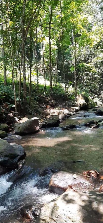 L'Javas Villas Kalibendo Bagian luar foto