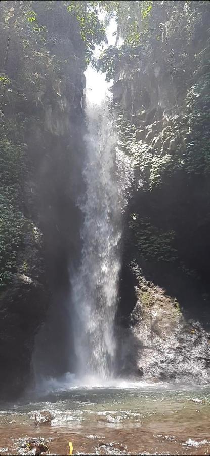 L'Javas Villas Kalibendo Bagian luar foto