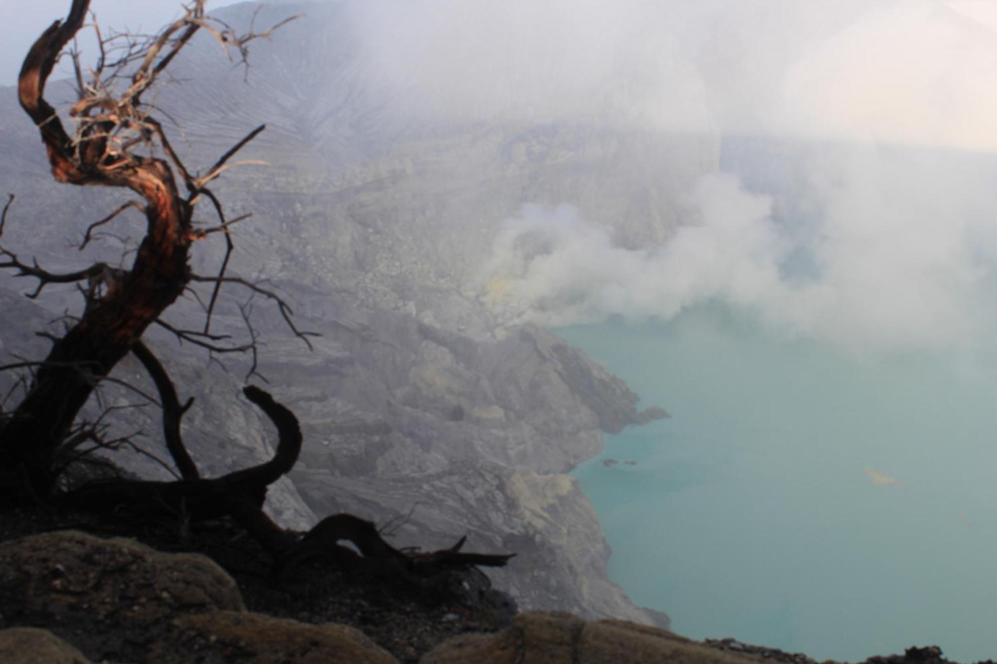 L'Javas Villas Kalibendo Bagian luar foto